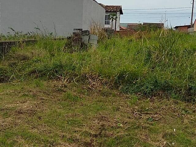 #119 - Área para Venda em Itanhaém - SP - 1