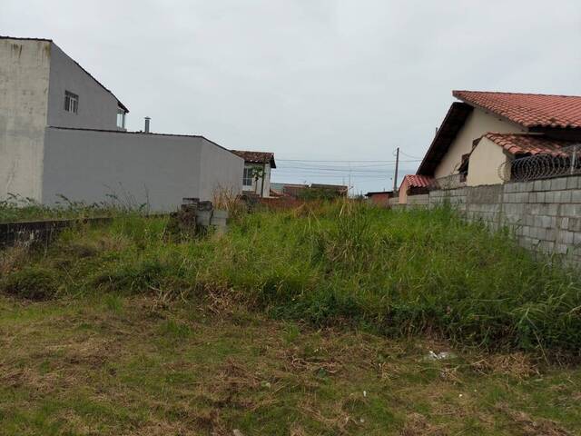 Área para Venda em Itanhaém - 4