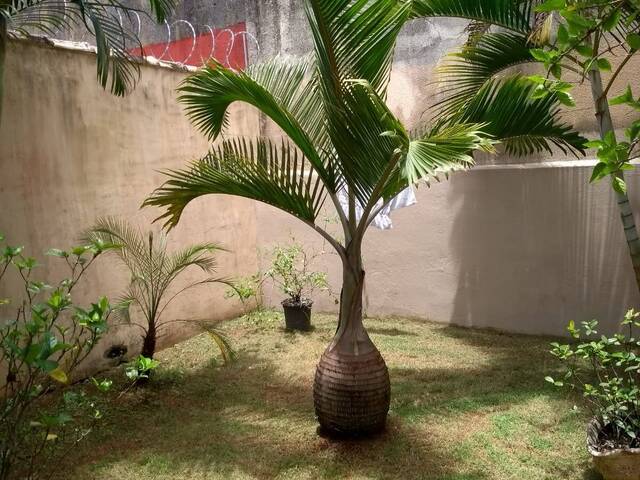 #71 - Casa para Venda em Itanhaém - SP